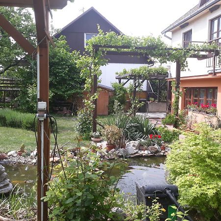 Pension Zelený strom Mikulov Exterior foto