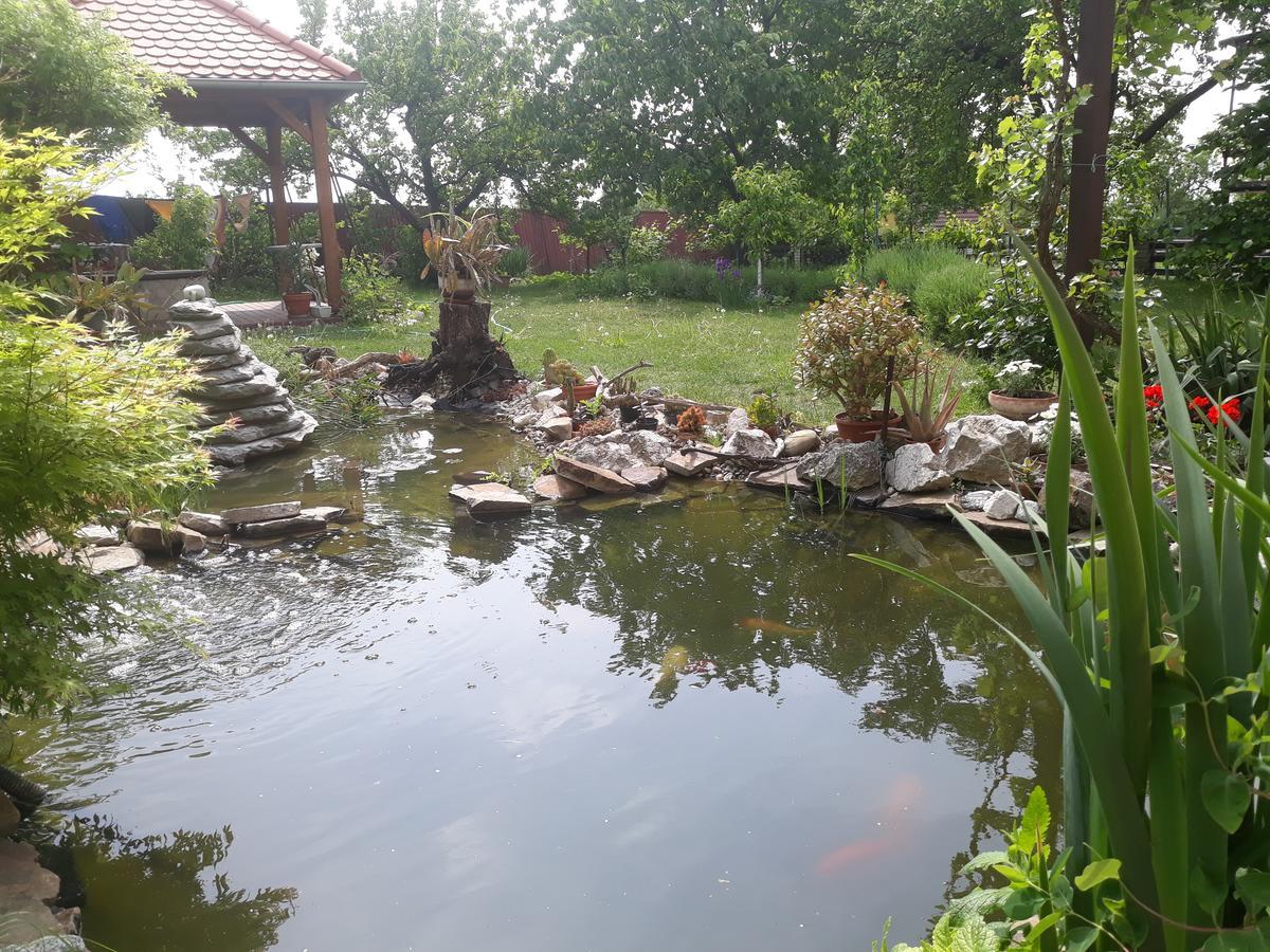 Pension Zelený strom Mikulov Exterior foto