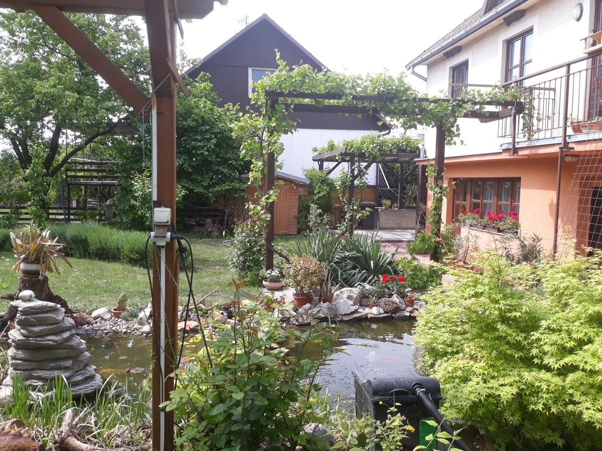 Pension Zelený strom Mikulov Exterior foto